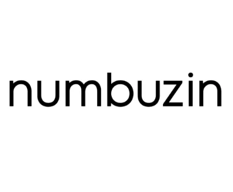 numbuzin logo